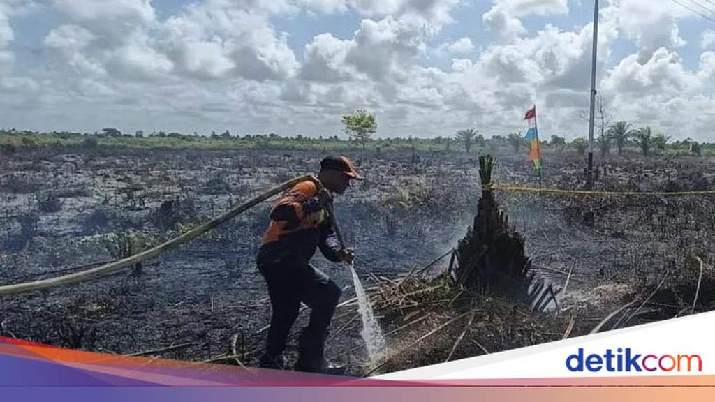 353 Karhutla Guncang Kalteng, Kotim Jadi Wilayah Paling Terdampak