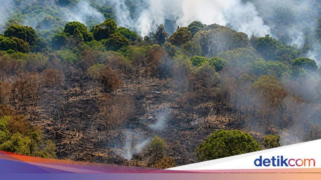 Helikopter water bombing BNPB memadamkan kebakaran lahan di Kotawaringin Timur