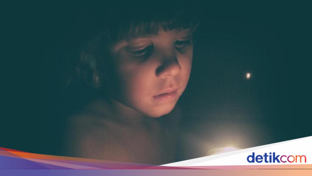 Petugas PLN melakukan pemeliharaan jaringan listrik di Medan